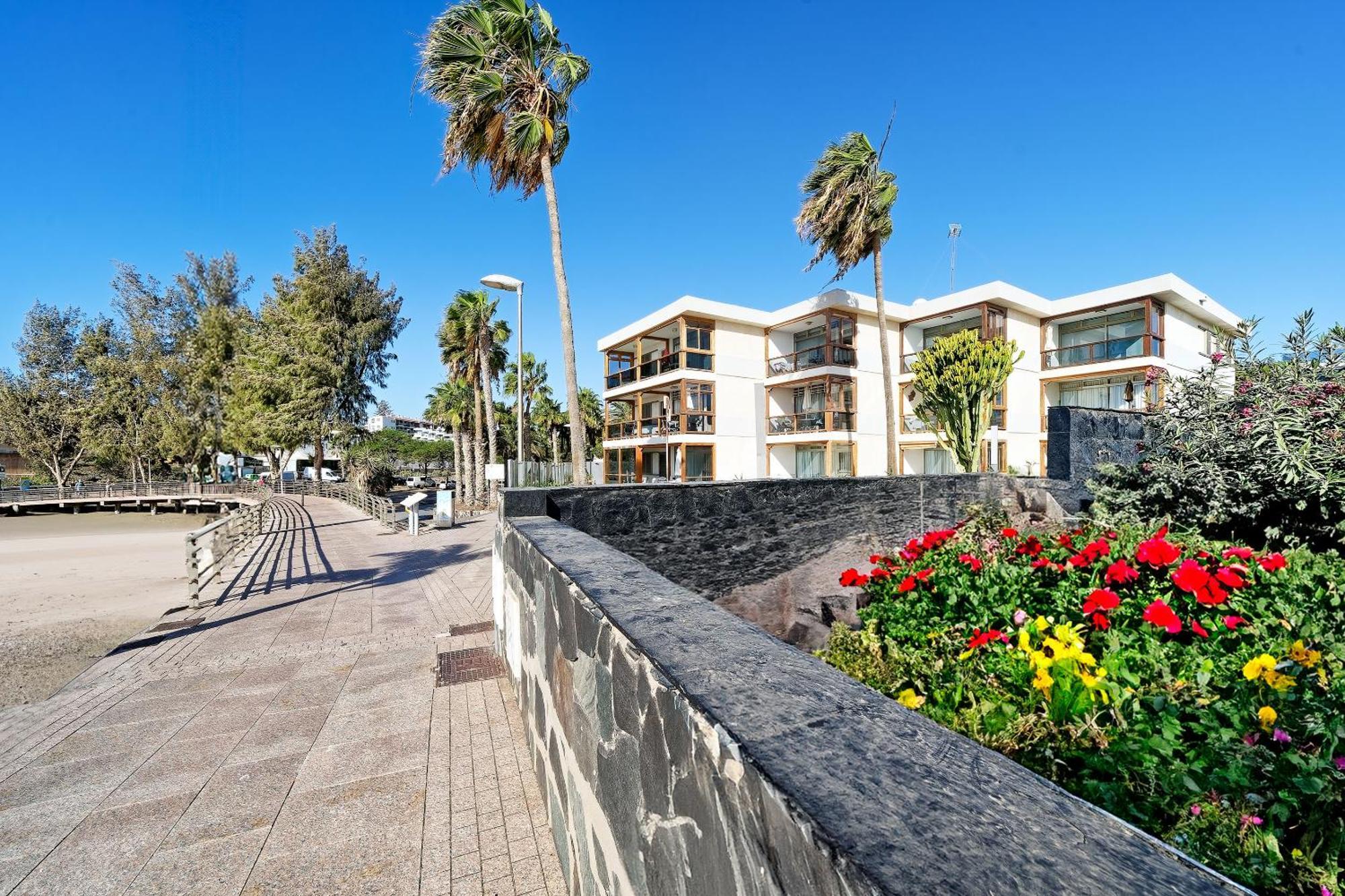 Apartamentos Los Papagayos San Agustin  Exterior photo